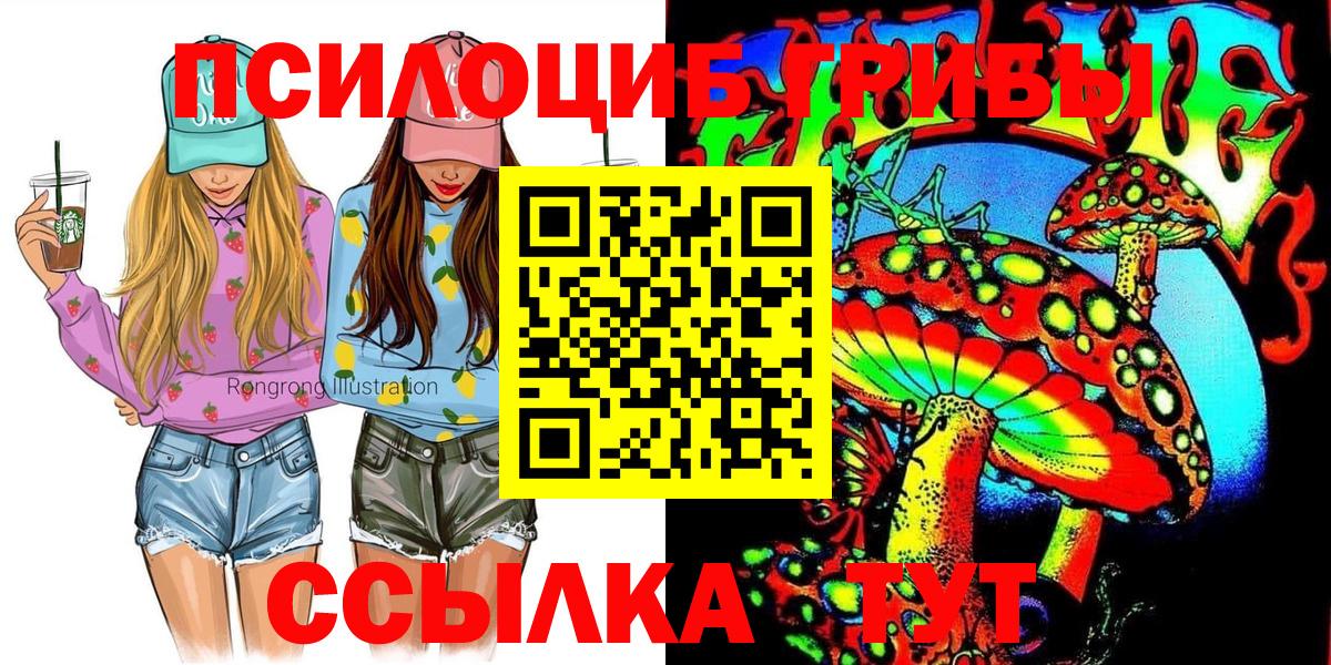 Галлюциногенные грибы MAGIC MUSHROOMS  Вход с VPN  Галлюциногенные грибы MAGIC MUSHROOMS  Камышин 